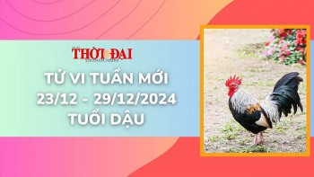 tu vi tuan moi 2312 den 29122024 tuoi dau tinh duyen cong danh tai loc