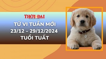 tu vi tuan moi 2312 den 29122024 tuoi tuat tinh duyen cong danh tai loc