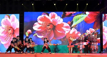Ngoại giao văn hóa: 2024 là năm 