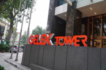 GELEX trở thành cổ đông lớn tại Seaprodex (SEA)