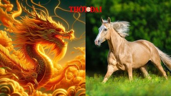 top con giap may man hom nay 25122024 ngo quy nhan nang do thin su nghiep thang hoa