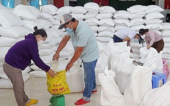 ho tro hon 11 nghin tan gao cho tinh gia lai dip tet nguyen dan