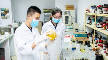Nghị quyết 57-NQ/TW: nhiều chính sách đãi ngộ thúc đẩy các nhà khoa học cống hiến, sáng tạo