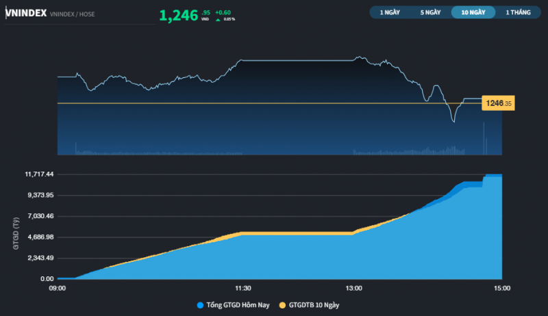 nha dau tu thap thom nhin thi truong rung lac