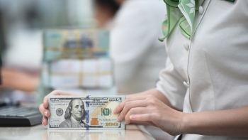Tỷ giá có thể chạm 25.800 VND/USD trong quý I/2025