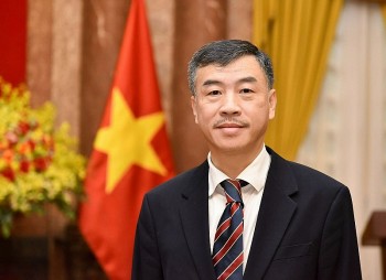 dai su duong hoai nam chuyen tham cua thu tuong mo ra chuong moi nang quan he viet sec len tam cao moi