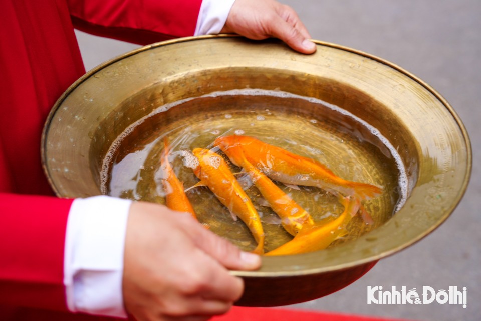 Nghi lễ thả cá chép vào ngày ông Công ông Táo là một phong tục truyền thống của người Việt Nam, thể hiện lòng thành kính với các Táo quân. Nghi lễ thả cá chép vào ngày ông Công ông Táo là một phong tục truyền thống của người Việt Nam, thể hiện lòng thành kính với các Táo quân.