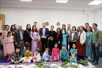 cong dong nguoi viet tai nhieu quoc gia don tet at ty 2025