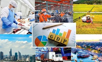kinh te hoa binh cua viet nam va suc manh kieu bao trong ky nguyen vuon minh