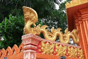 Tản mạn về rắn