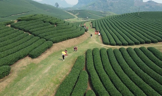 10 địa điểm du Xuân miền Bắc mang lại trải nghiệm tuyệt vời dịp Tết