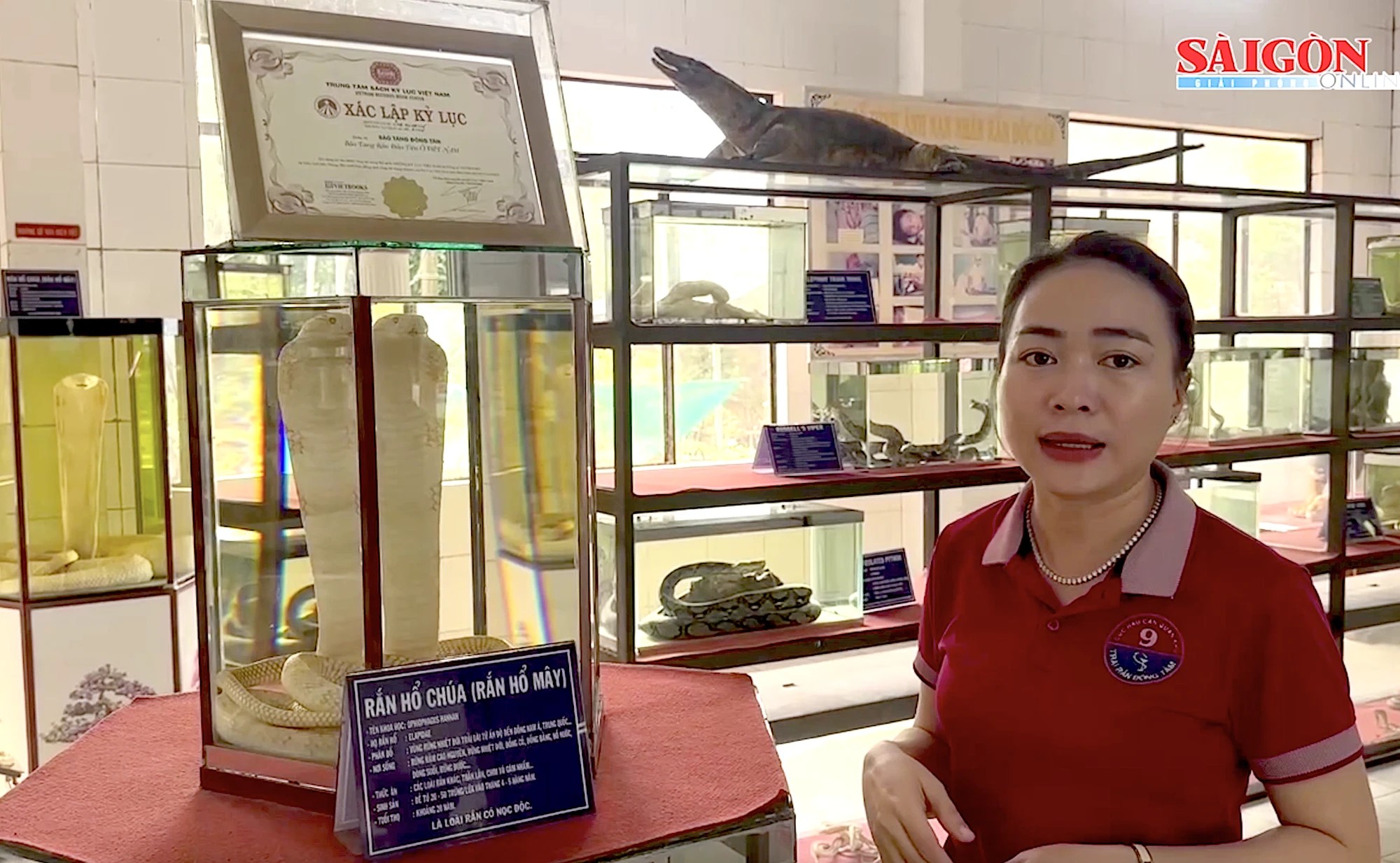 Bảo tàng Rắn được Trung tâm Sách kỷ lục Việt Nam công nhận là Bảo tàng Rắn đầu tiên tại Việt Nam vào năm 2005
