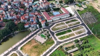 thu tuong yeu cau xu ly nghiem hanh vi loi dung dau gia dat de truc loi gay nhieu loan thi truong
