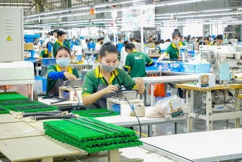 Gần 22.800 doanh nghiệp quay trở lại hoạt động trong tháng 1/2025