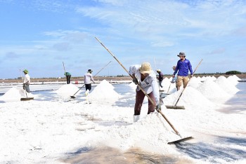 Festival nghề Muối Việt Nam - Bạc Liêu sẽ diễn ra từ ngày 6 - 8/3 với nhiều hoạt động nổi bật