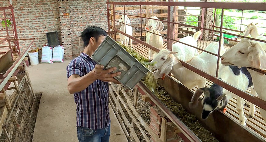 góp phần hỗ trợ người chấp hành xong án phạt tù tái hòa nhập cộng đồng, giúp họ ổn định cuộc sống, thúc đẩy phát triển kinh tế - xã hội, giữ vững, ổn định trật tự, an toàn xã hội tại các địa phương.  