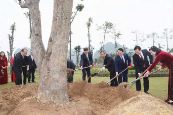 trong cay huu nghi viet nam trung quoc