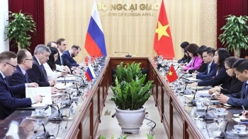 tham van chinh tri cap thu truong ngoai giao viet nam nga