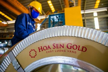 Hoa Sen Group đặt mục tiêu lãi 400 - 500 tỷ đồng, dự kiến mua lại 50 - 100 triệu cổ phiếu quỹ