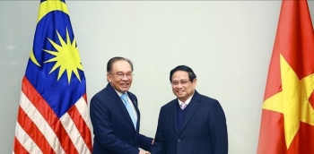 viet nam dong vai tro then chot trong dam bao thanh cong chuong trinh hanh dong cua asean