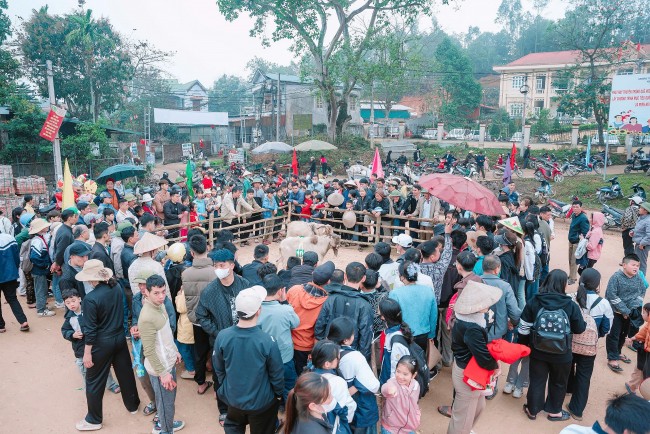 GNI phối hợp lan tỏa nét đẹp đầu Xuân tại Tuyên Quang