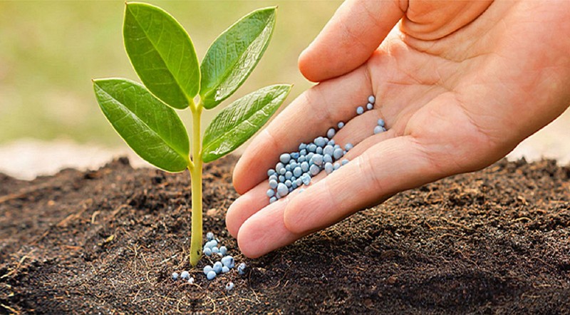 Doanh nghiệp phân bón dè dặt với kế hoạch 2025