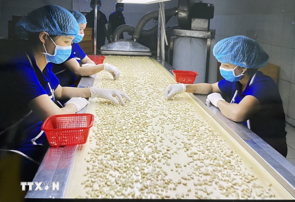 Tăng cường quan hệ hữu nghị truyền thống và hợp tác Việt Nam-Kyrgyzstan