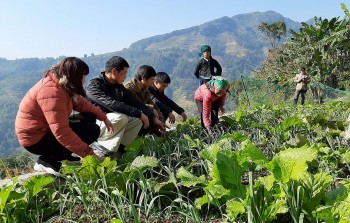 Việt Nam tiếp tục ghi dấu ấn trong thúc đẩy bình đẳng giới