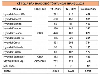 tc group ban ra 3022 xe trong thang 22025