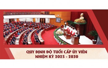 Quy định độ tuổi cấp ủy viên nhiệm kỳ 2025 - 2030