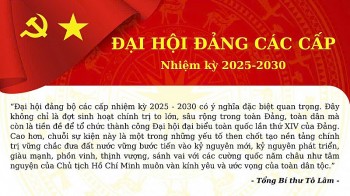 dai hoi dang cac cap nhiem ky 2025 2030
