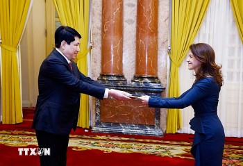 Chủ tịch nước Lương Cường tiếp Đại sứ các nước trình Quốc thư