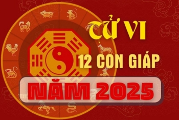 top con giap xui xeo hom nay 1832025 thin bi tieu nhan ham hai mui vuong thi phi