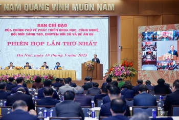 Phiên họp thứ nhất Ban Chỉ đạo của Chính phủ về phát triển KHCN, đổi mới sáng tạo, chuyển đổi số và Đề án 06
