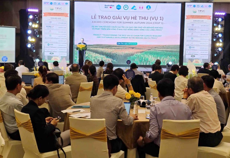 Dự án TRVC trao thưởng cho 8 doanh nghiệp tham gia chuỗi giá trị lúa gạo bền vững tại ĐBSCL