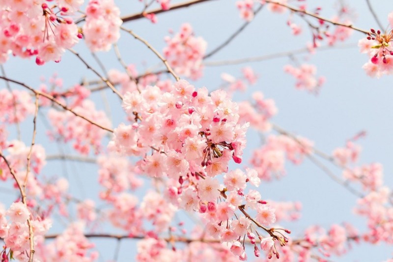 12 cung hoàng đạo ngày 29/3/2025 cần lưu ý những gì?