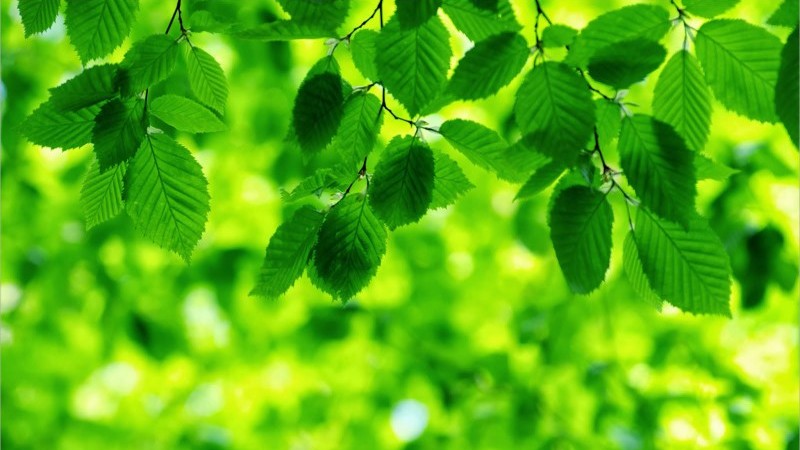 Bật mí màu sắc mang lại may mắn cho 12 cung hoàng đạo
