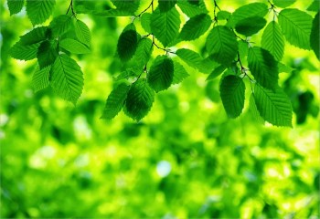 Bật mí màu sắc mang lại may mắn cho 12 cung hoàng đạo