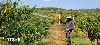 Đổi thay ở những 