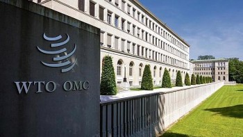 Mỹ cắt giảm tài trợ cho WTO: Nguy cơ gián đoạn hoạt động giải quyết tranh chấp toàn cầu