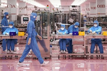Lý do Nhật Bản không phô trương dù liên tục chinh phục đỉnh cao khoa học