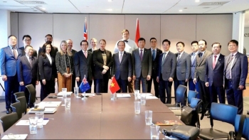 Hà Nội và New Zealand mong muốn hợp tác về công nghiệp sáng tạo, giảm thiểu phát thải