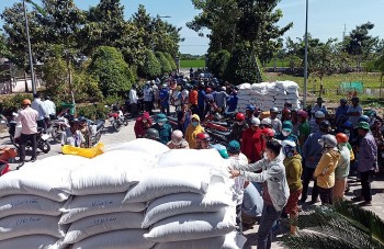Xuất cấp gạo cho 3 tỉnh Lạng Sơn, Lai Châu, Điện Biên
