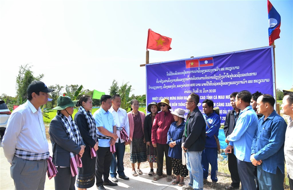 Cà Mau nhận Huân chương Lao động hạng Nhất của Lào
