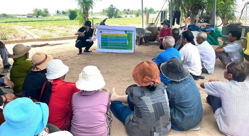 undp ho tro quang tri cai thien dich vu cong