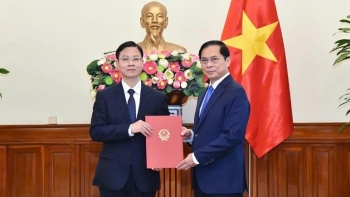 thay doi nhan su chu nhiem uy ban cong tac ve cac to chuc phi chinh phu nuoc ngoai
