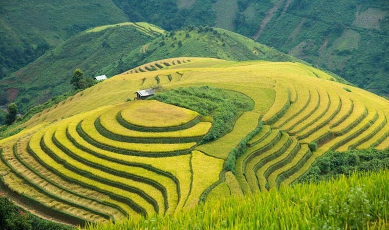 Giỗ tổ Hùng Vương 2025: Top 5 điểm đến lý tưởng cho chuyến đi ngắn ngày tại miền Bắc