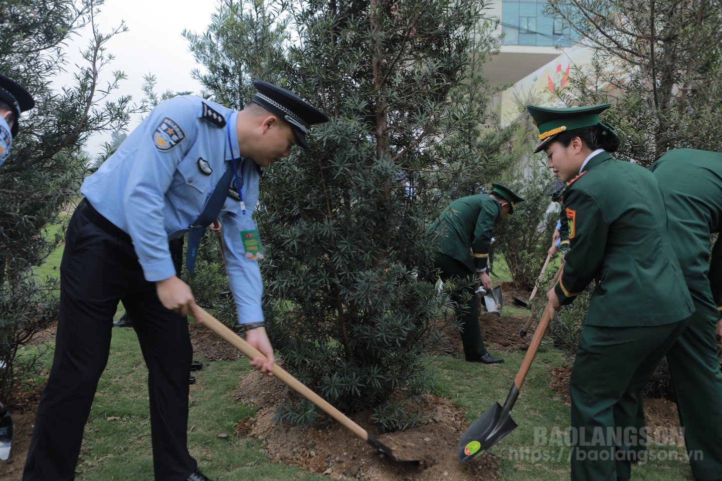 Sĩ quan trẻ BĐBP Lạng Sơn (Việt Nam) và cán bộ trẻ Tổng trạm Kiểm tra Biên phòng xuất nhập cảnh Quảng Tây (Trung Quốc) cùng trồng vườn cây hữu nghị thanh niên. (Ảnh: Báo Lạng Sơn)