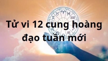 tu vi tuan moi cua 12 cung hoang dao tu 144 2042025 song tu su nghiep toa sang