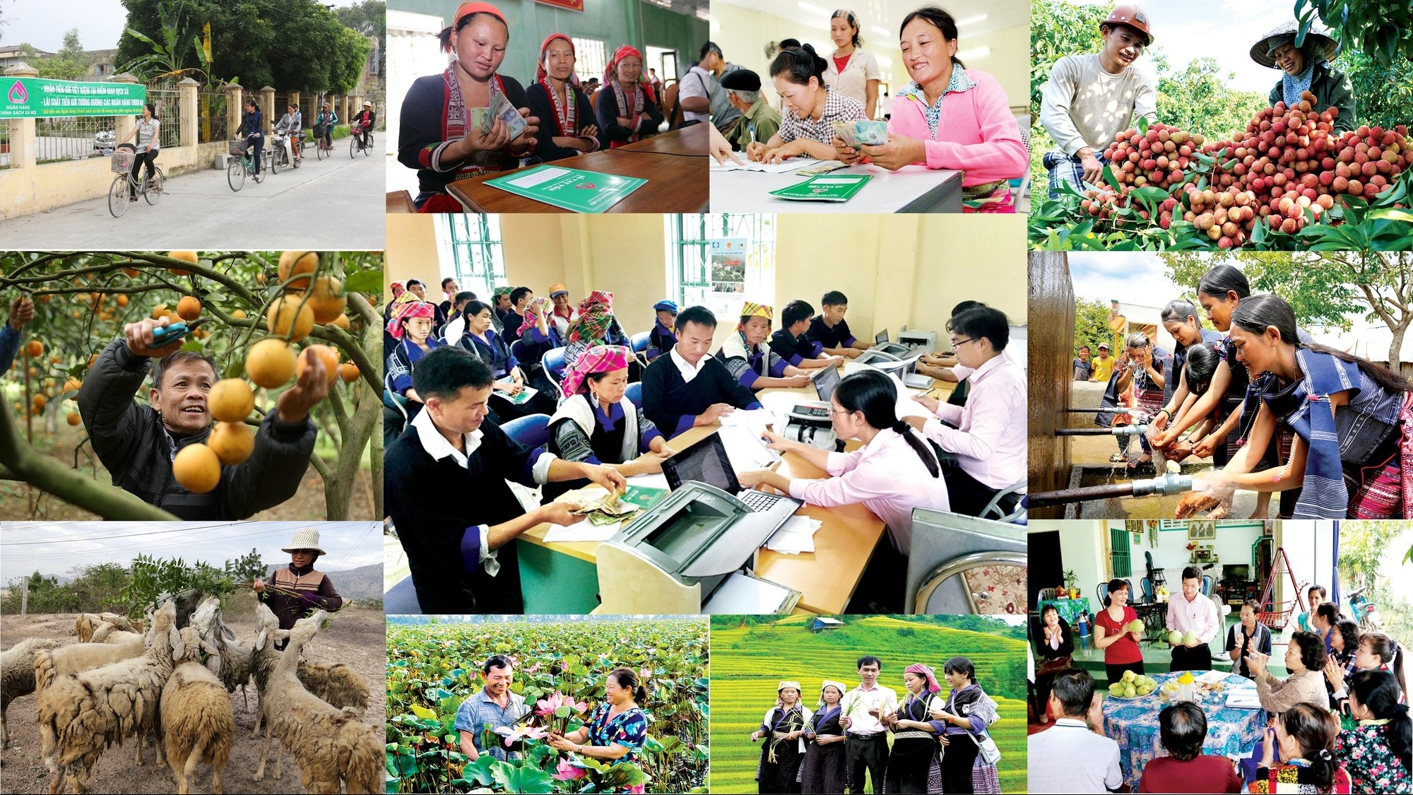 Tạo điều kiện, cung cấp dịch vụ tốt nhất cho người nghèo